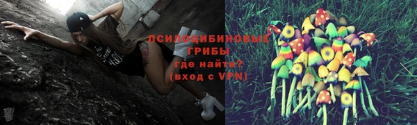 альфа пвп Армянск